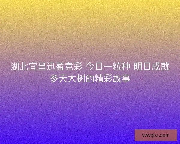 湖北宜昌迅盈竞彩 今日一粒种 明日成就参天大树的精彩故事